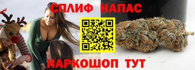 дмт Будённовск