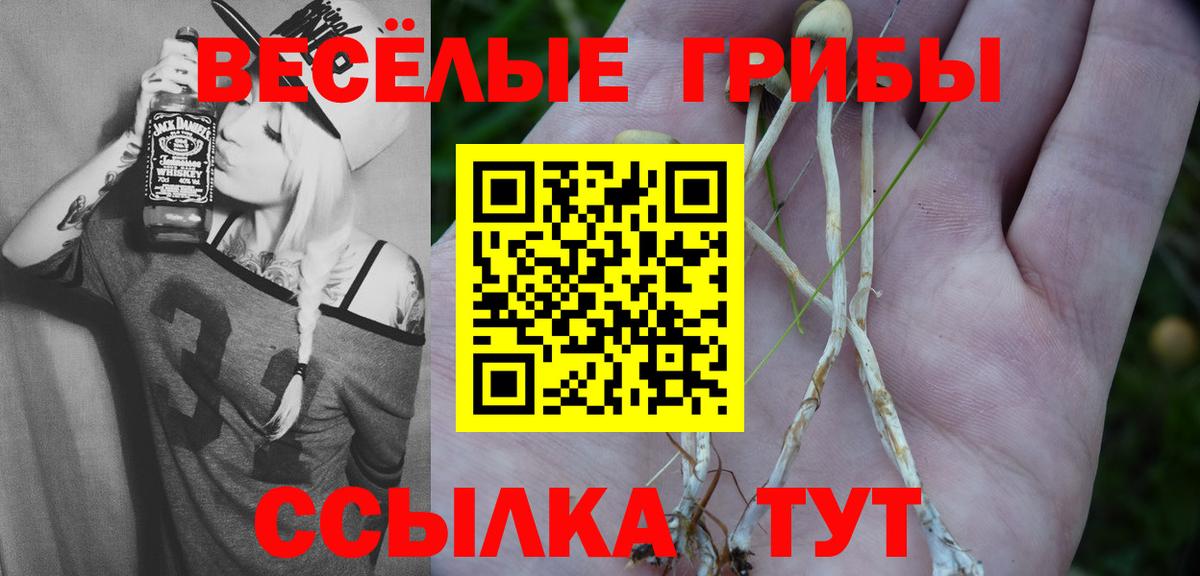 Коркино  Псилоцибиновые грибы мухоморы  Вход с VPN  Галлюциногенные грибы MAGIC MUSHROOMS 